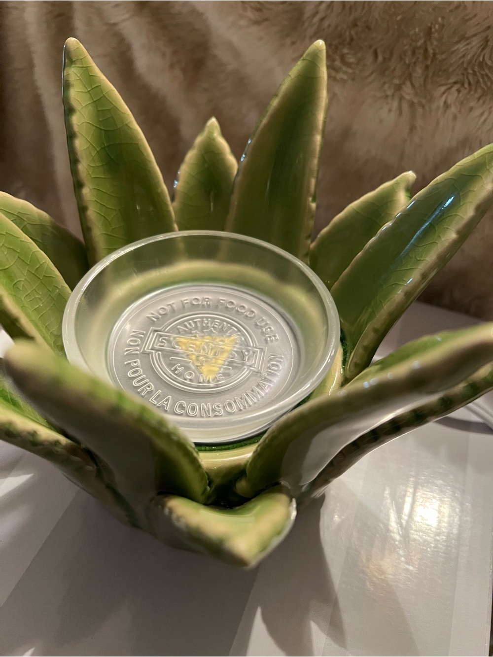 {Pre-loved} Scentsy Aloe Vera Element Wax Warmer